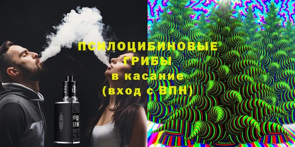 крисы Сатка