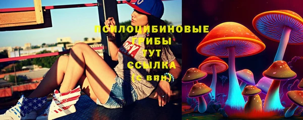 гашик Алзамай