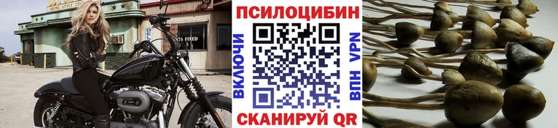 где можно купить наркотик  Заозёрный  кракен   Галлюциногенные грибы прущие грибы 